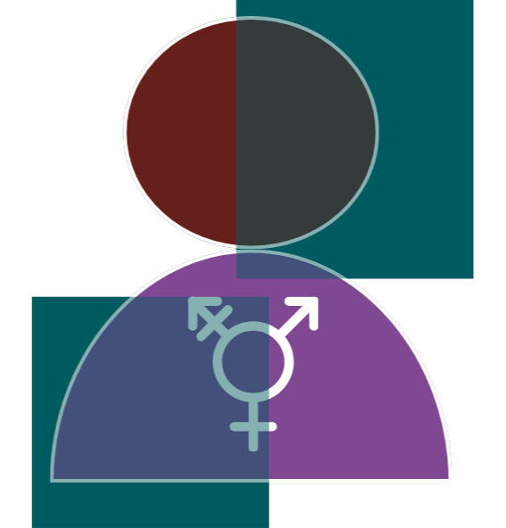 Políticas de Gênero, Raça e Sexualidade